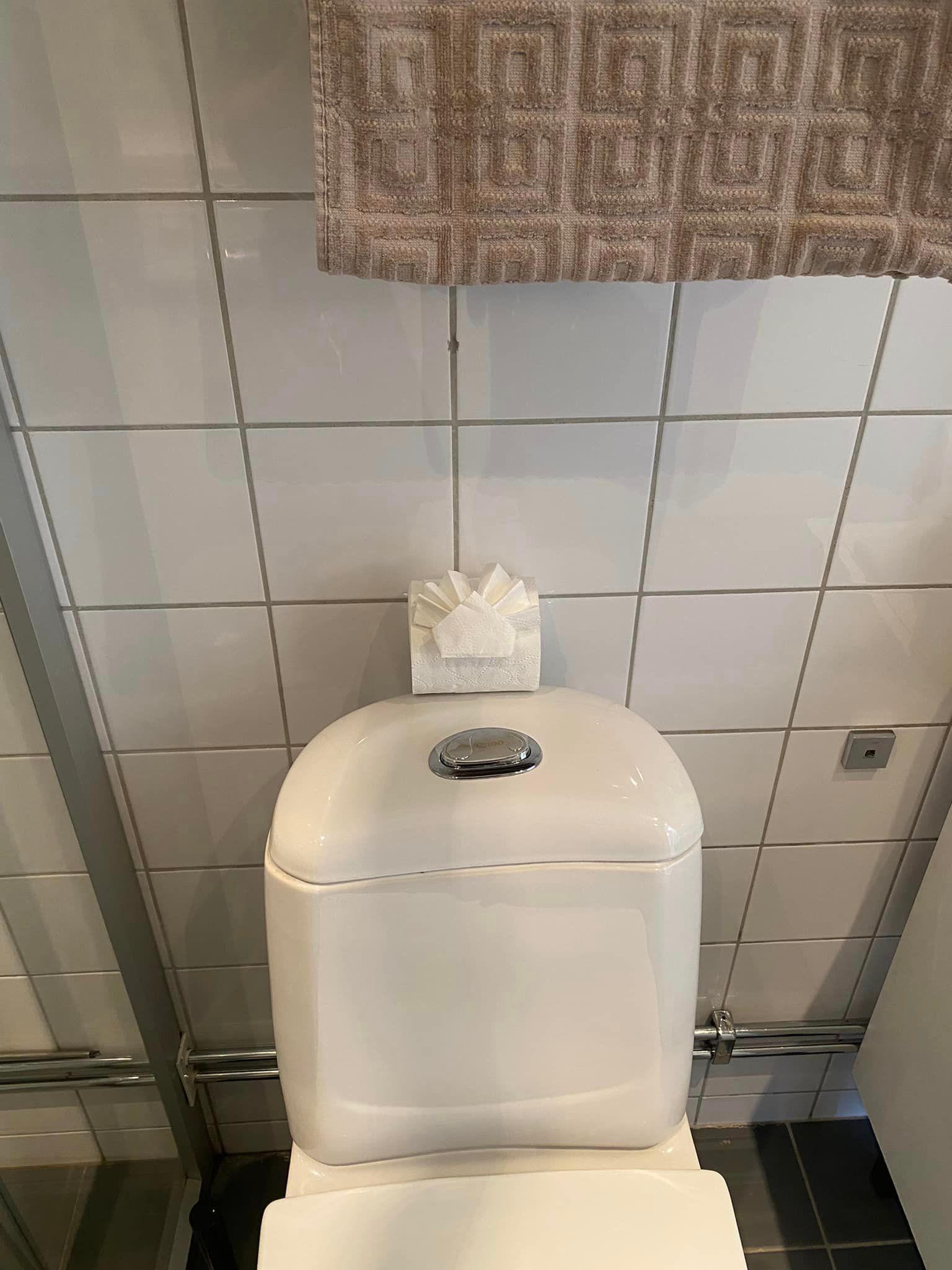Toilet paper folded in a decorative way.