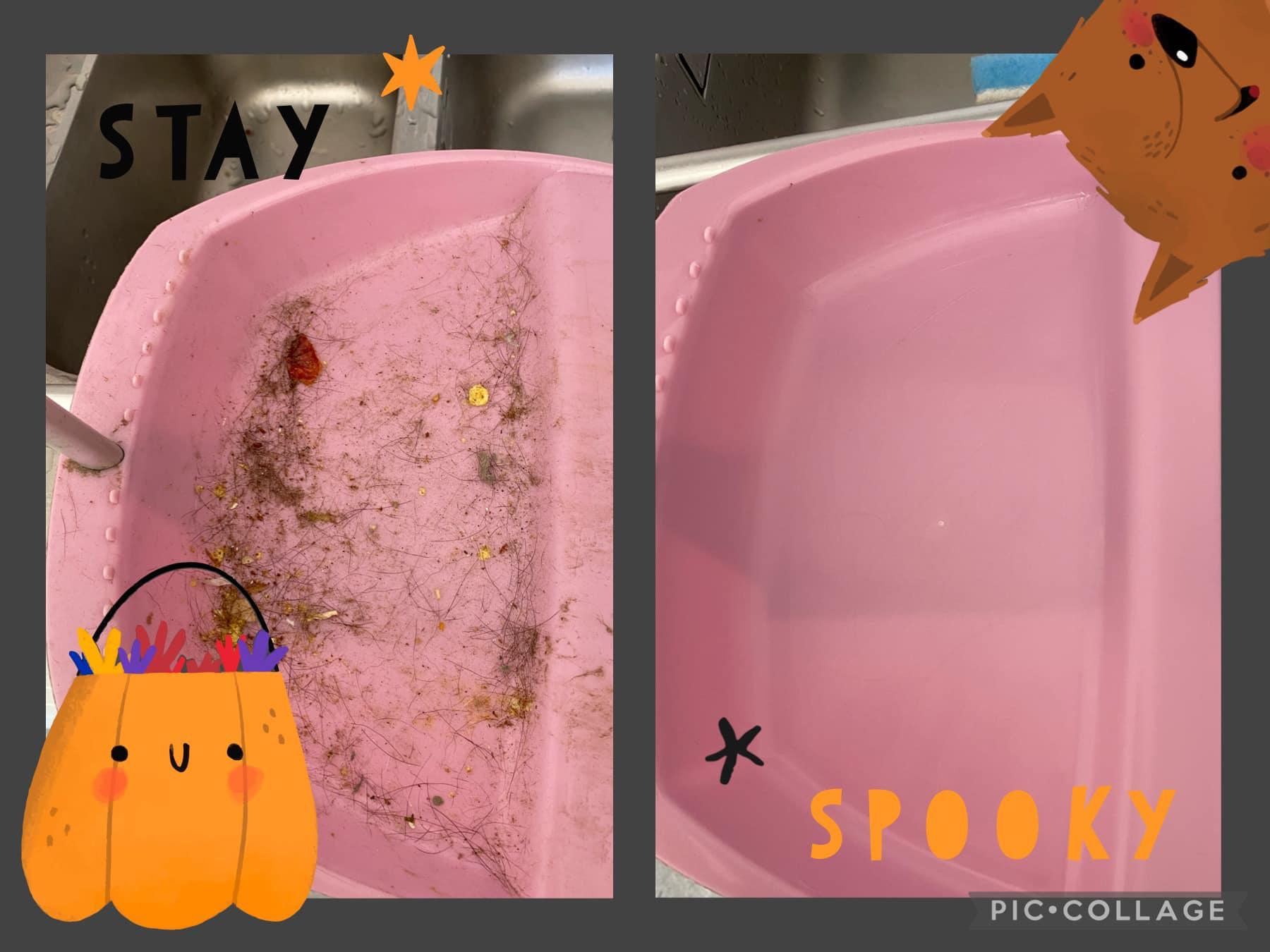 Before and after cleaning the pink kitchen scoop.